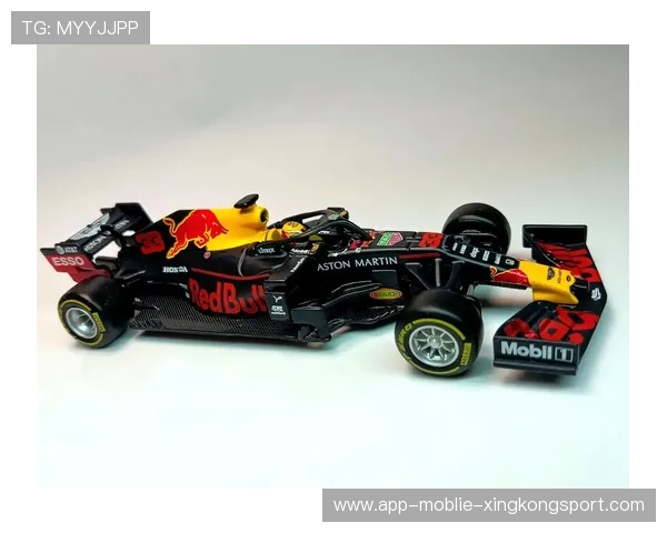 维斯塔潘团队称其稳定性极高