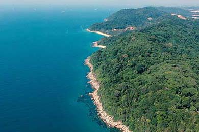 AC米兰球员皮亚尼奇在联赛中展现出色发挥，皮亚尼奇助攻c罗贴地斩